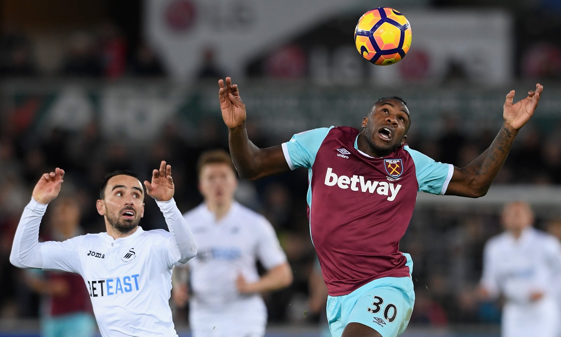 传统菜肴 传统菜肴